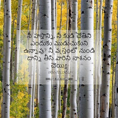 Picture 07 - కీర్తన 74:11 TELIRV - నీ హస్తాన్ని, నీ - Bible Verse Picture