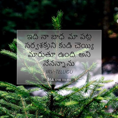 Picture 07 - కీర్తన 77:10 TELIRV - ఇది నా బాధ. మా పట్ల - Bible Verse Picture