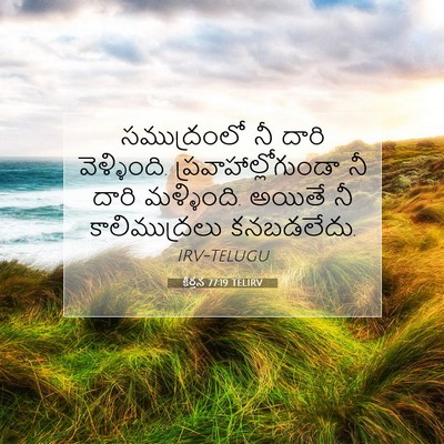 Picture 07 - కీర్తన 77:19 TELIRV - సముద్రంలో నీ దారి - Bible Verse Picture