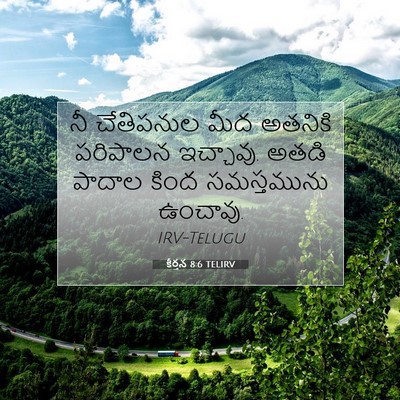 Picture 07 - కీర్తన 8:6 TELIRV - నీ చేతిపనుల మీద - Bible Verse Picture