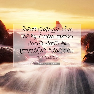 Picture 07 - కీర్తన 80:14 TELIRV - సేనల ప్రభువైన - Bible Verse Picture