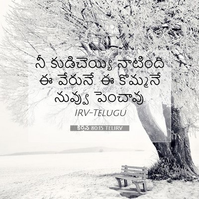 Picture 07 - కీర్తన 80:15 TELIRV - నీ కుడిచెయ్యి - Bible Verse Picture