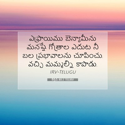 Picture 07 - కీర్తన 80:2 TELIRV - ఎఫ్రాయిము - Bible Verse Picture