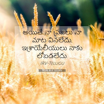 Picture 07 - కీర్తన 81:11 TELIRV - అయితే నా ప్రజలు నా - Bible Verse Picture