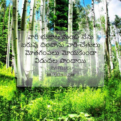 Picture 07 - కీర్తన 81:6 TELIRV - వారి భుజాల నుంచి - Bible Verse Picture