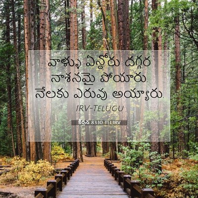 Picture 07 - కీర్తన 83:10 TELIRV - వాళ్ళు ఏన్దోరు - Bible Verse Picture