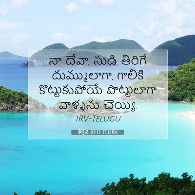 Picture 07 - కీర్తన 83:13 TELIRV - నా దేవా, సుడి - Bible Verse Picture