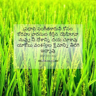 Picture 07 - కీర్తన 85:1 TELIRV - ప్రధాన - Bible Verse Picture