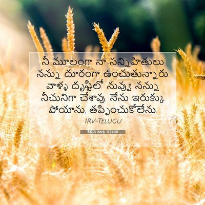 Picture 07 - కీర్తన 88:8 TELIRV - నీ మూలంగా నా - Bible Verse Picture