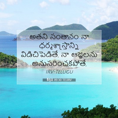 Picture 07 - కీర్తన 89:30 TELIRV - అతని సంతానం నా - Bible Verse Picture