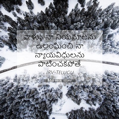 Picture 07 - కీర్తన 89:31 TELIRV - వాళ్ళు నా - Bible Verse Picture
