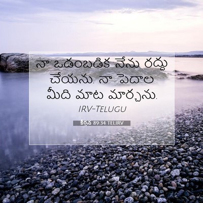 Picture 07 - కీర్తన 89:34 TELIRV - నా ఒడంబడిక నేను - Bible Verse Picture