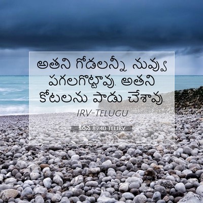 Picture 07 - కీర్తన 89:40 TELIRV - అతని గోడలన్నీ - Bible Verse Picture