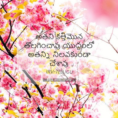 Picture 07 - కీర్తన 89:43 TELIRV - అతని కత్తిమొన - Bible Verse Picture