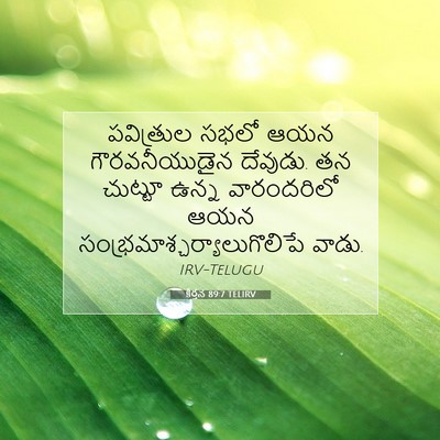 Picture 07 - కీర్తన 89:7 TELIRV - పవిత్రుల సభలో ఆయన - Bible Verse Picture