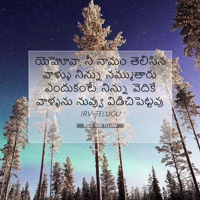 Picture 07 - కీర్తన 9:10 TELIRV - యెహోవా, నీ నామం - Bible Verse Picture