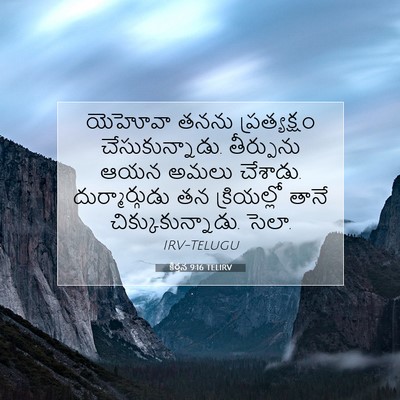 Picture 07 - కీర్తన 9:16 TELIRV - యెహోవా తనను - Bible Verse Picture