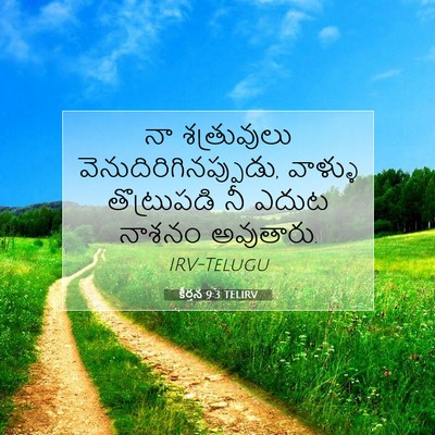 Picture 07 - కీర్తన 9:3 TELIRV - నా శత్రువులు - Bible Verse Picture