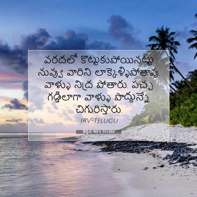 Picture 07 - కీర్తన 90:5 TELIRV - వరదలో - Bible Verse Picture
