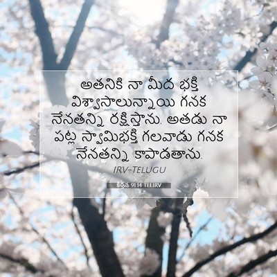 Picture 07 - కీర్తన 91:14 TELIRV - అతనికి నా మీద - Bible Verse Picture