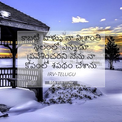 Picture 07 - కీర్తన 95:11 TELIRV - కాబట్టి, వాళ్ళు నా - Bible Verse Picture