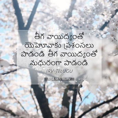 Picture 07 - కీర్తన 98:5 TELIRV - తీగ వాయిద్యంతో - Bible Verse Picture