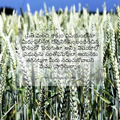 Picture 07 - కొలస్సీ పత్రిక 1:10 TELIRV - ప్రతి మంచి కార్యం - Bible Verse Picture