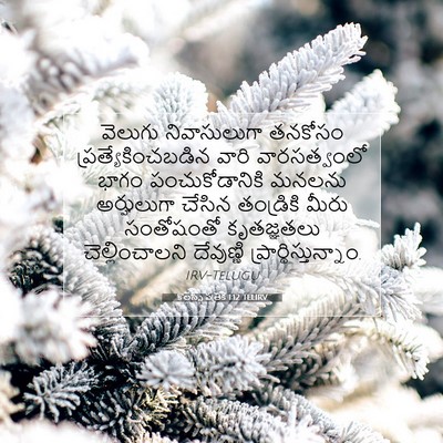 Picture 07 - కొలస్సీ పత్రిక 1:12 TELIRV - వెలుగు నివాసులుగా - Bible Verse Picture