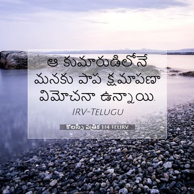 Picture 07 - కొలస్సీ పత్రిక 1:14 TELIRV - ఆ కుమారుడిలోనే - Bible Verse Picture