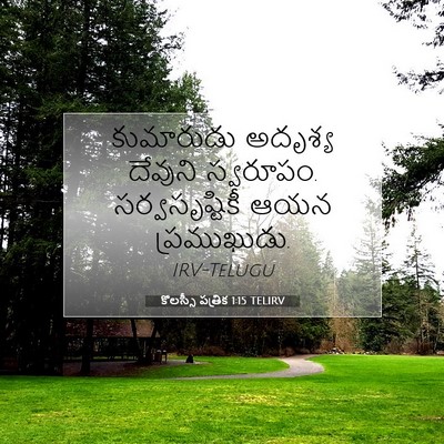 Picture 07 - కొలస్సీ పత్రిక 1:15 TELIRV - కుమారుడు అదృశ్య - Bible Verse Picture