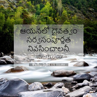 Picture 07 - కొలస్సీ పత్రిక 1:19 TELIRV - ఆయనలో దైవత్వం - Bible Verse Picture