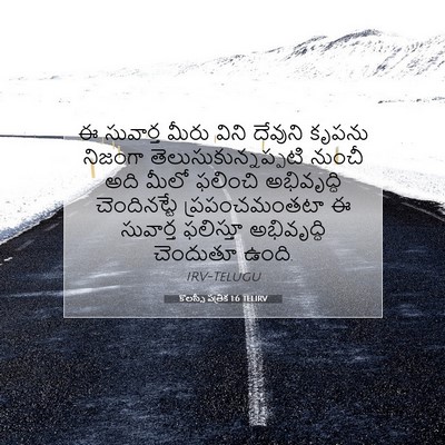 Picture 07 - కొలస్సీ పత్రిక 1:6 TELIRV - ఈ సువార్త మీరు - Bible Verse Picture