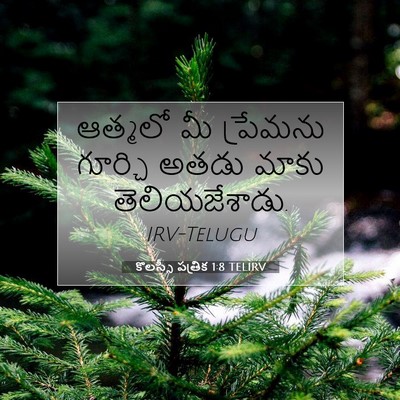 Picture 07 - కొలస్సీ పత్రిక 1:8 TELIRV - ఆత్మలో మీ ప్రేమను - Bible Verse Picture