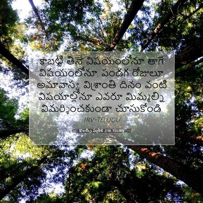 Picture 07 - కొలస్సీ పత్రిక 2:16 TELIRV - కాబట్టి తినే - Bible Verse Picture