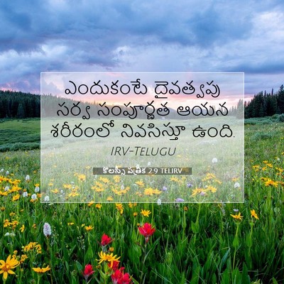 Picture 07 - కొలస్సీ పత్రిక 2:9 TELIRV - ఎందుకంటే దైవత్వపు - Bible Verse Picture