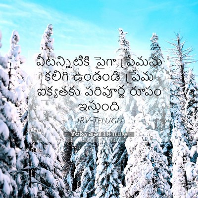 Picture 07 - కొలస్సీ పత్రిక 3:14 TELIRV - వీటన్నిటికి పైగా - Bible Verse Picture