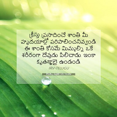 Picture 07 - కొలస్సీ పత్రిక 3:15 TELIRV - క్రీస్తు - Bible Verse Picture