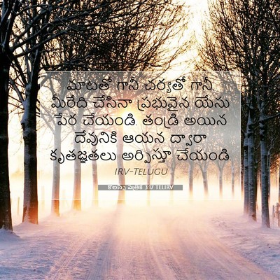 Picture 07 - కొలస్సీ పత్రిక 3:17 TELIRV - మాటతో గానీ చర్యతో - Bible Verse Picture