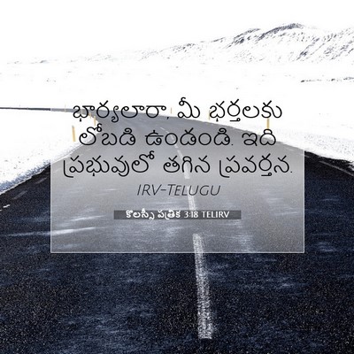 Picture 07 - కొలస్సీ పత్రిక 3:18 TELIRV - భార్యలారా, మీ - Bible Verse Picture