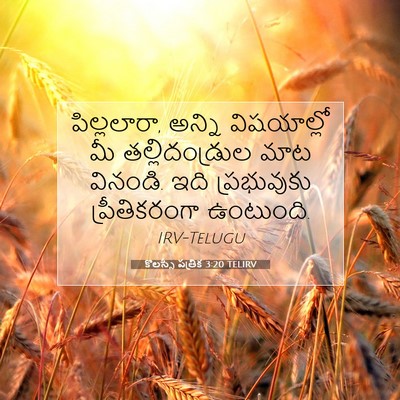 Picture 07 - కొలస్సీ పత్రిక 3:20 TELIRV - పిల్లలారా, అన్ని - Bible Verse Picture