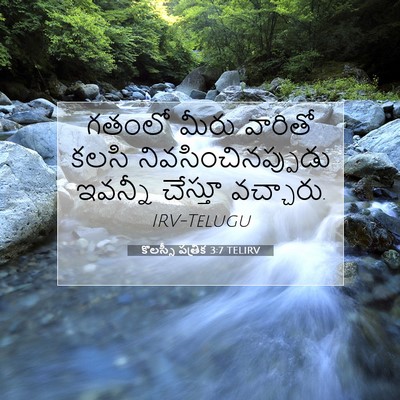 Picture 07 - కొలస్సీ పత్రిక 3:7 TELIRV - గతంలో మీరు వారితో - Bible Verse Picture