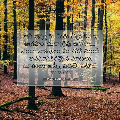 Picture 07 - కొలస్సీ పత్రిక 3:8 TELIRV - కానీ ఇప్పుడు మీరు - Bible Verse Picture