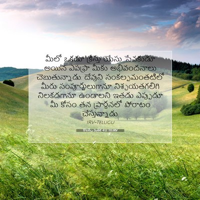 Picture 07 - కొలస్సీ పత్రిక 4:12 TELIRV - మీలో ఒకడూ - Bible Verse Picture