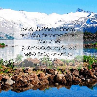 Picture 07 - కొలస్సీ పత్రిక 4:13 TELIRV - ఇతడు మీకోసం, - Bible Verse Picture