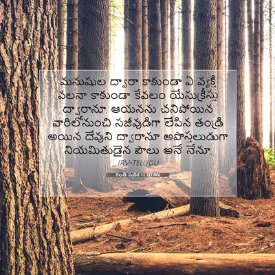 Picture 07 - గలతీ పత్రిక 1:1 TELIRV - మనుషుల ద్వారా - Bible Verse Picture