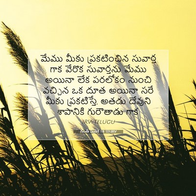 Picture 07 - గలతీ పత్రిక 1:8 TELIRV - మేము మీకు - Bible Verse Picture