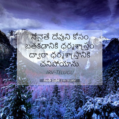 Picture 07 - గలతీ పత్రిక 2:19 TELIRV - నేనైతే దేవుని - Bible Verse Picture