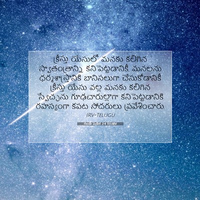 Picture 07 - గలతీ పత్రిక 2:4 TELIRV - క్రీస్తు యేసులో - Bible Verse Picture