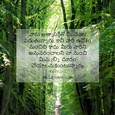 Picture 07 - గలతీ పత్రిక 4:17 TELIRV - వారు అత్యాసక్తితో - Bible Verse Picture