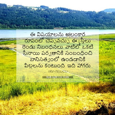 Picture 07 - గలతీ పత్రిక 4:24 TELIRV - ఈ విషయాలను అలంకార - Bible Verse Picture